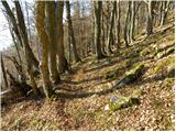 Mače - Planina Dolga njiva